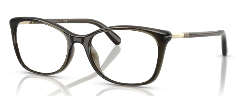 Coach HC 6192U 5400 (52)