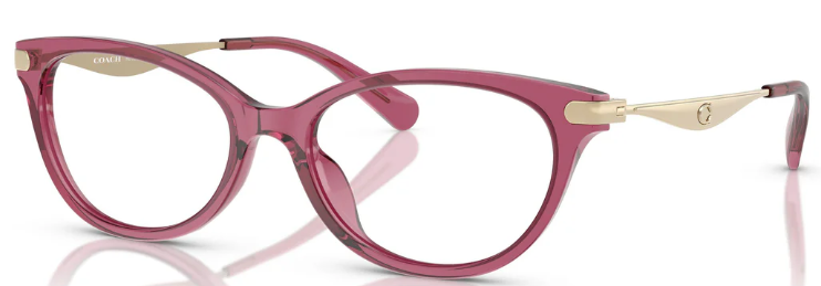 Coach HC 6245F 5824 (55)