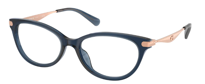 Coach HC 6245F 5846 (55)