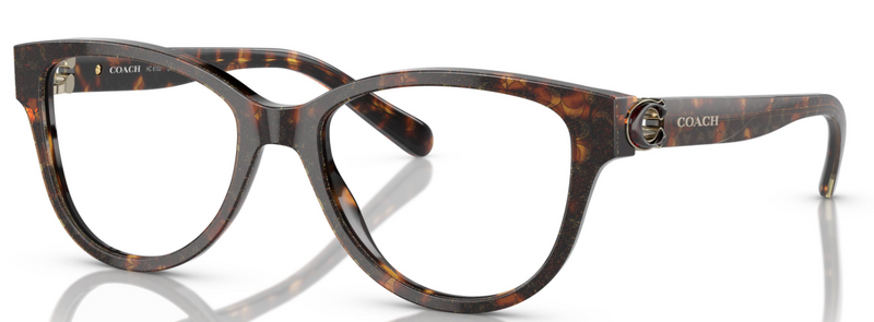 Coach HC 6153 5547 (51)