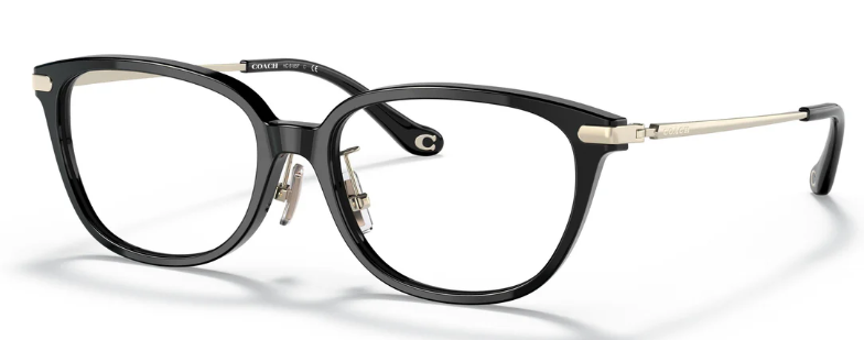 Coach HC 6185F 5002 (54)