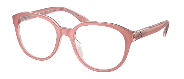 Coach HC 6209U 5743 (52)