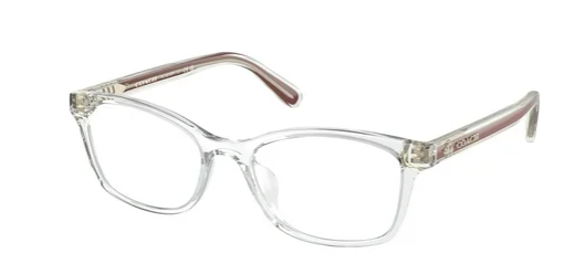 Coach HC 6216F 5111 (54)