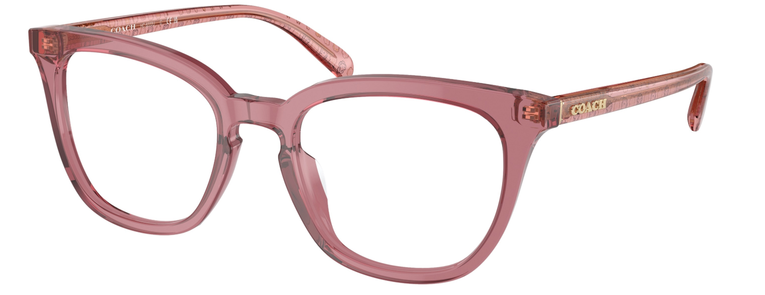 Coach HC 6222U 5800 (51)