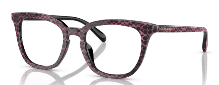 Coach HC 6222F 5783 (53)