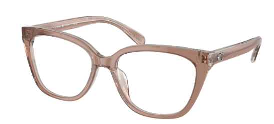 Coach HC 6226 5779 (54)