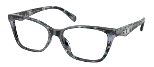 Coach HC 6248U 5845 (54)