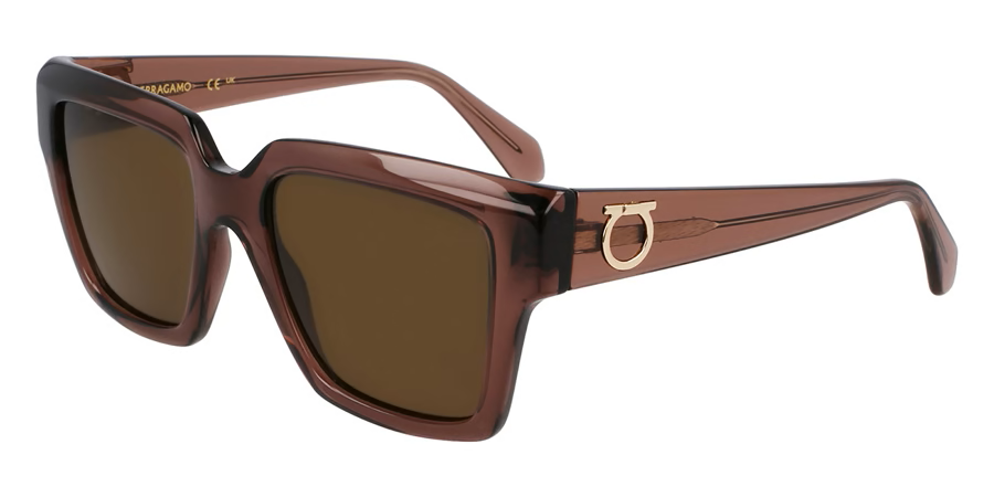 Salvatore Ferragamo SF 2014S 511 54