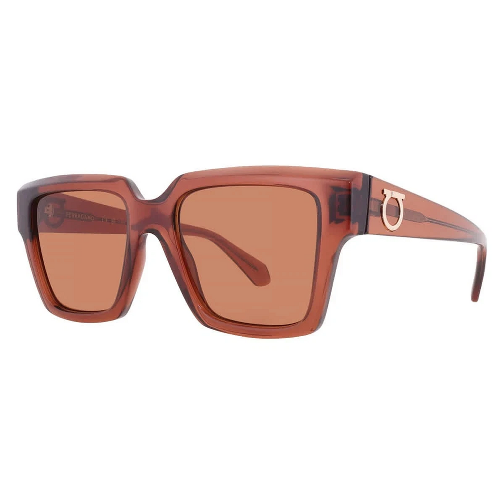 Salvatore Ferragamo SF 2014S 232 54