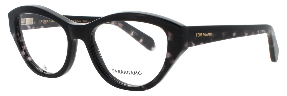 Salvatore Ferragamo SF 3011 004 53