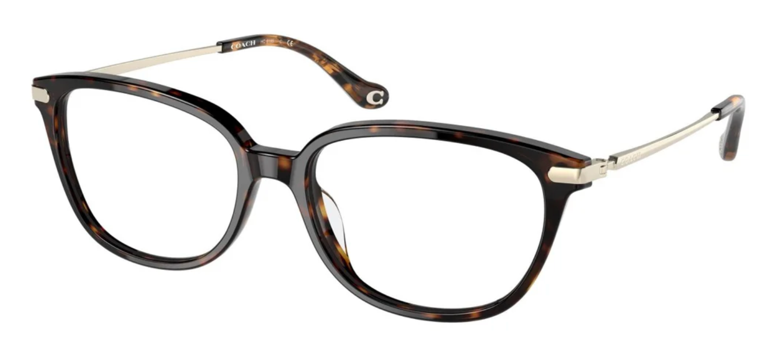 Coach HC 6185 5120 (54)