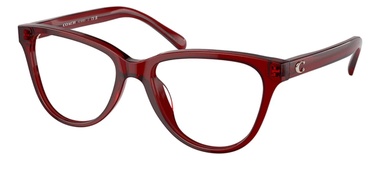 Coach HC 6202U 5713 (52)