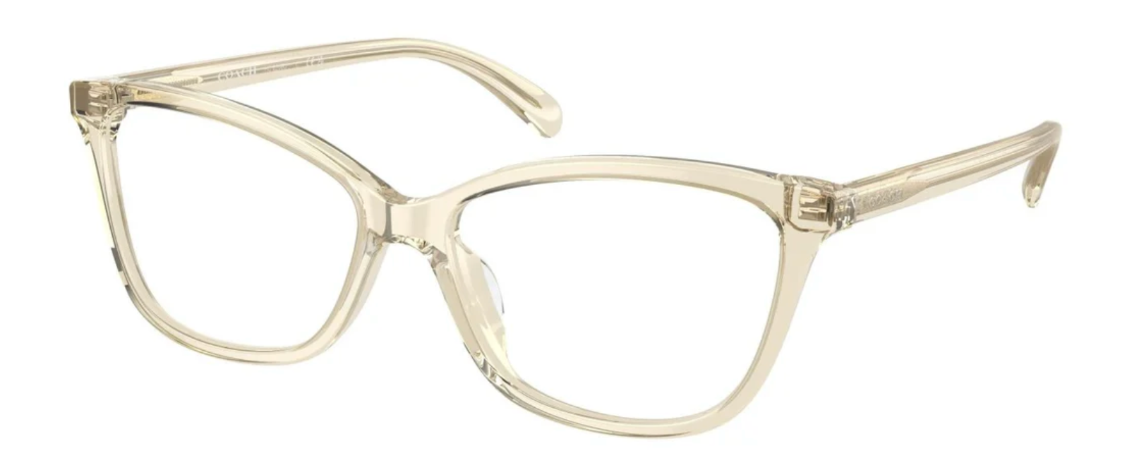 Coach HC 6206U 5736 (52)