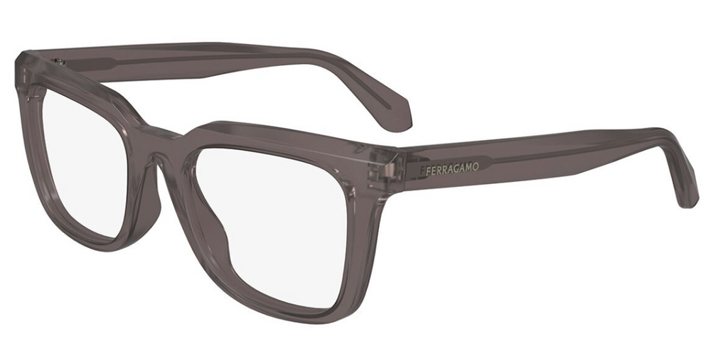 Salvatore Ferragamo SF 2990 | 020 | 52 mm