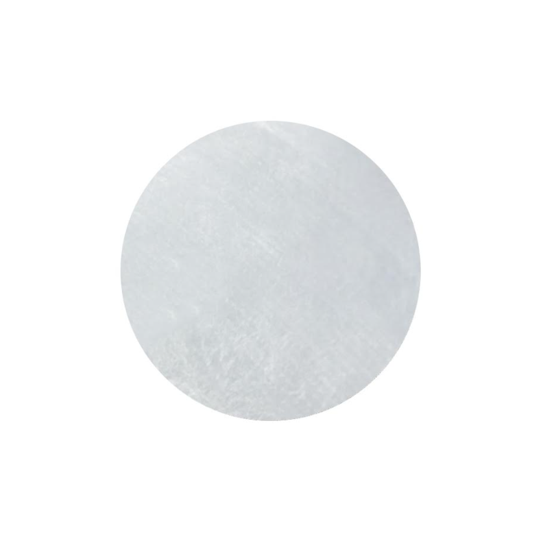 BioGo Disc Amnion + Chorion Membranes for Ocular Surface (12mm)