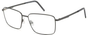 Maui Jim MJ 02134 Gunmetal Transparent