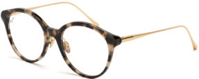 Maui Jim MJ O2222 Tortoise Gold Transparent