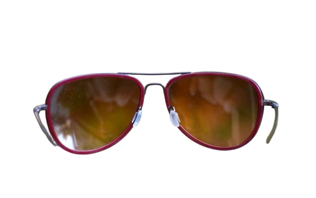 SALT GOODWIN BRGDY (60)